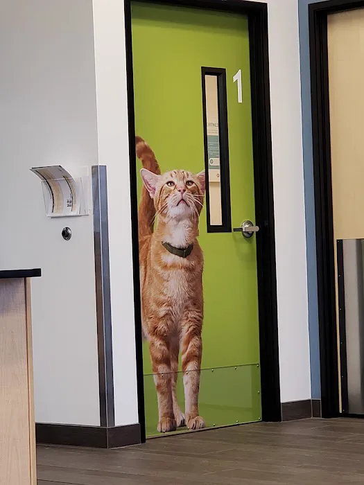 Banfield Pet Hospital Picture 2