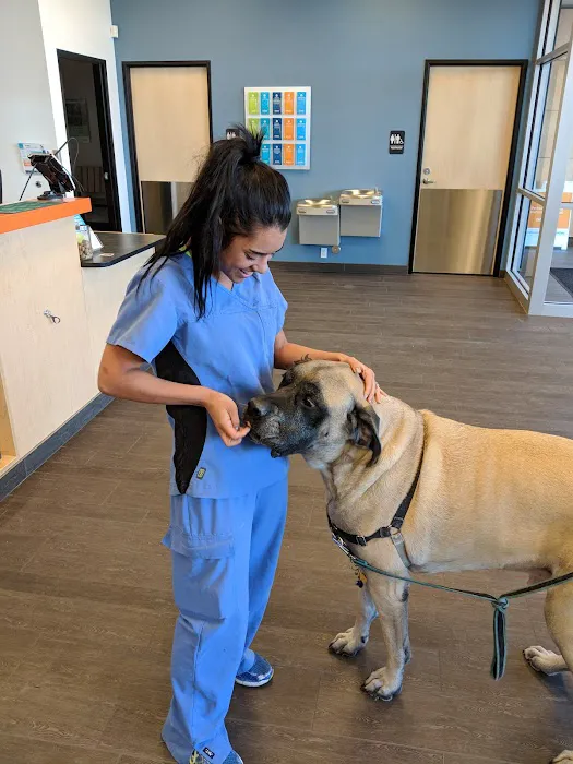 Banfield Pet Hospital Picture 10