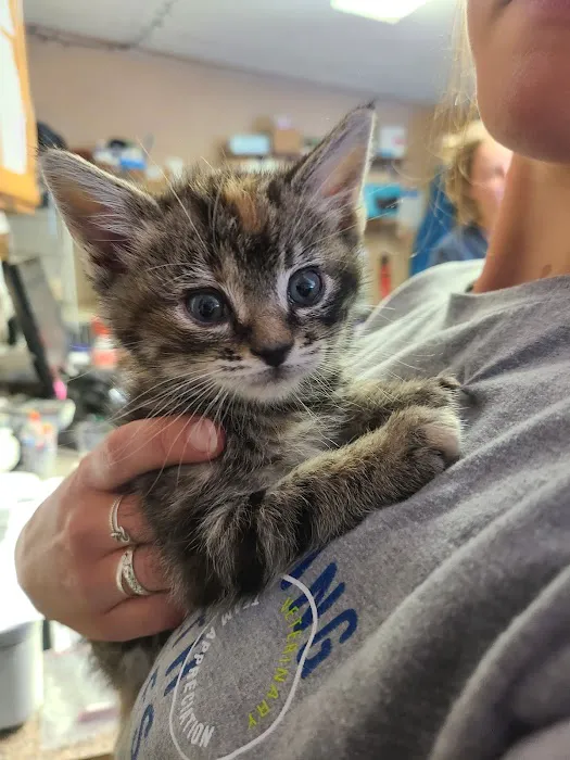 Homeward Bound Animal Hospital Picture 9