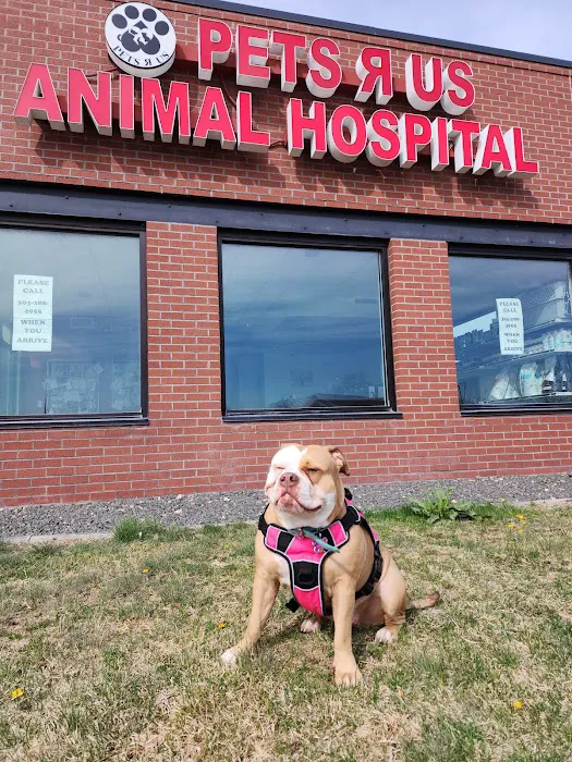 Pets R Us Commerce City Picture 2
