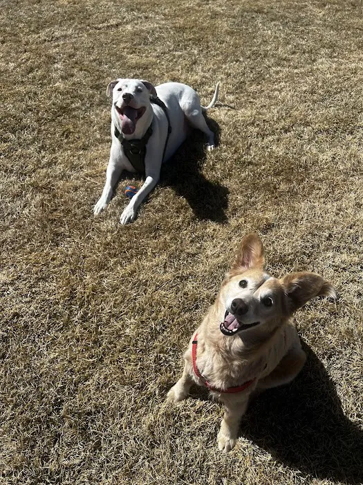 Pets R Us Commerce City Picture 4