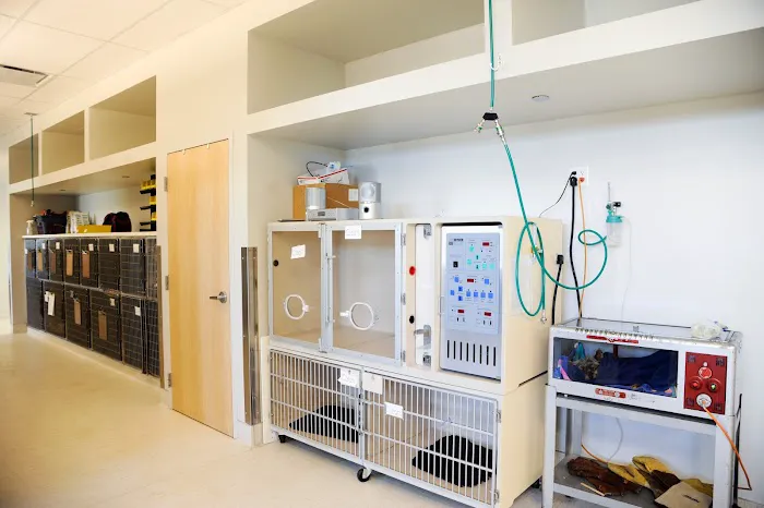 Seven Hills Veterinary Hospital Picture 1