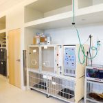 Seven Hills Veterinary Hospital