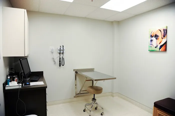 Seven Hills Veterinary Hospital Picture 6