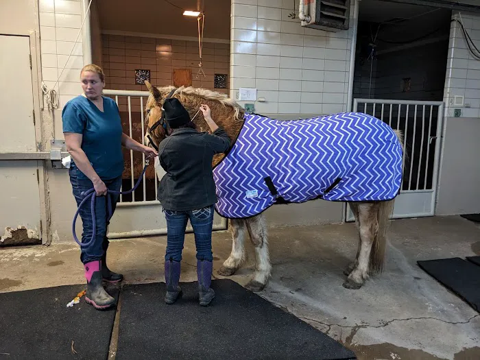 Golden Animal Hospital Picture 5