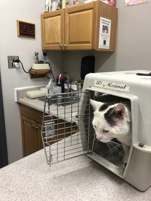 Mission Viejo Veterinary Hospital Picture 1