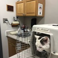 Mission Viejo Veterinary Hospital ico
