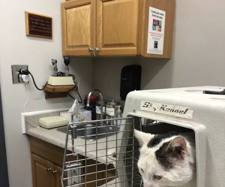 Mission Viejo Veterinary Hospital