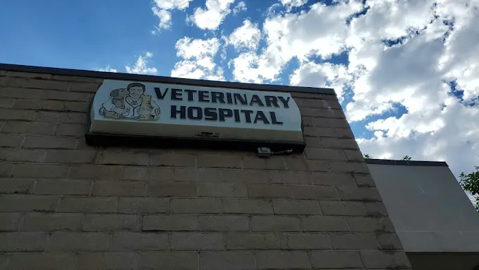 Mission Viejo Veterinary Hospital Picture 9