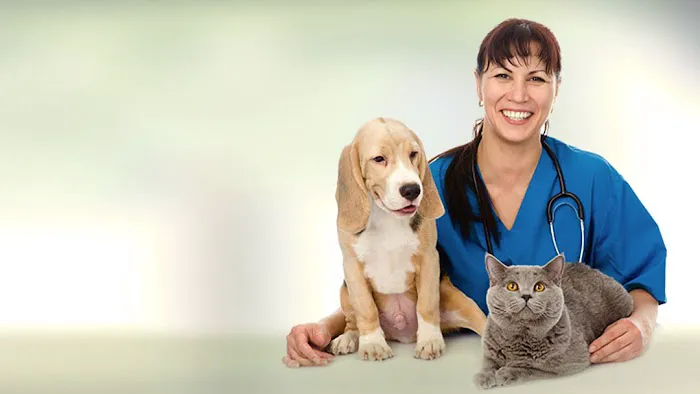 Animal Care Center of Aurora Picture 1