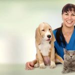Animal Care Center of Aurora