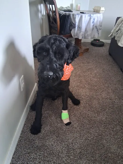 Banfield Pet Hospital Picture 5
