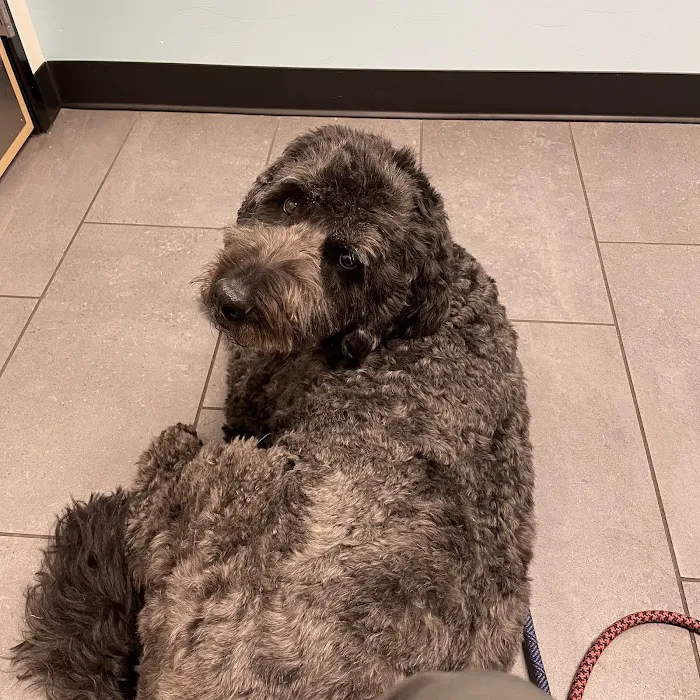 Banfield Pet Hospital Picture 6