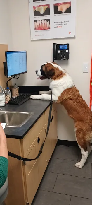 Banfield Pet Hospital Picture 8
