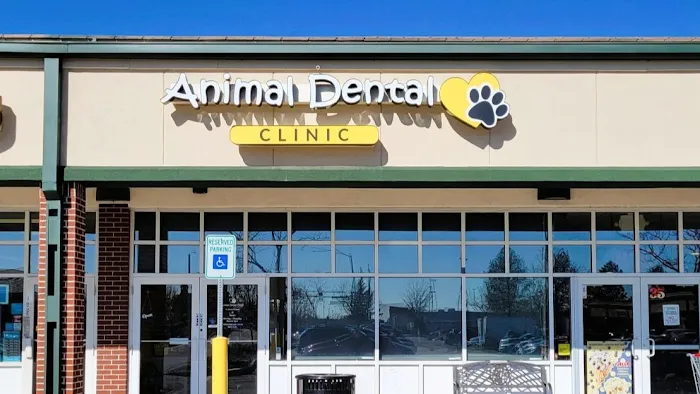 Animal Dental Clinic Picture 3