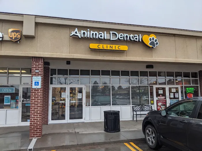Animal Dental Clinic Picture 2