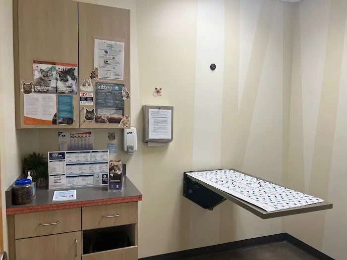 Vetco Total Care Animal Hospital Picture 2