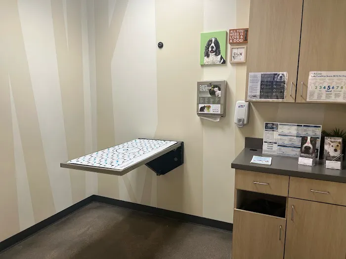 Vetco Total Care Animal Hospital Picture 7