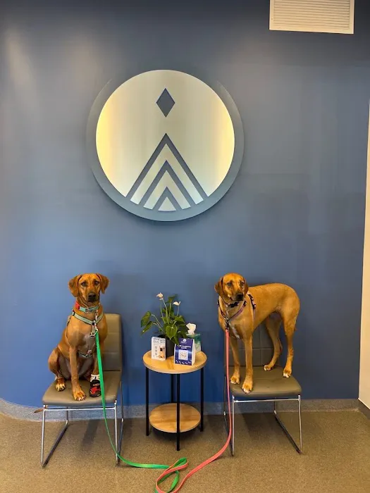Mountain Star Veterinary Specialists Picture 4