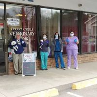 Cherry Knolls Veterinary Clinic ico
