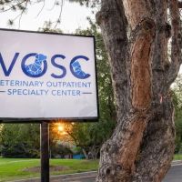 Veterinary Outpatient Specialty Center ico