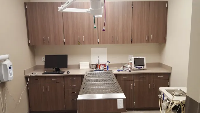 Centennial Vida Veterinary Care Picture 3