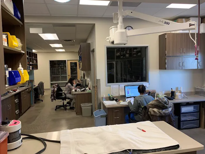 Centennial Vida Veterinary Care Picture 6