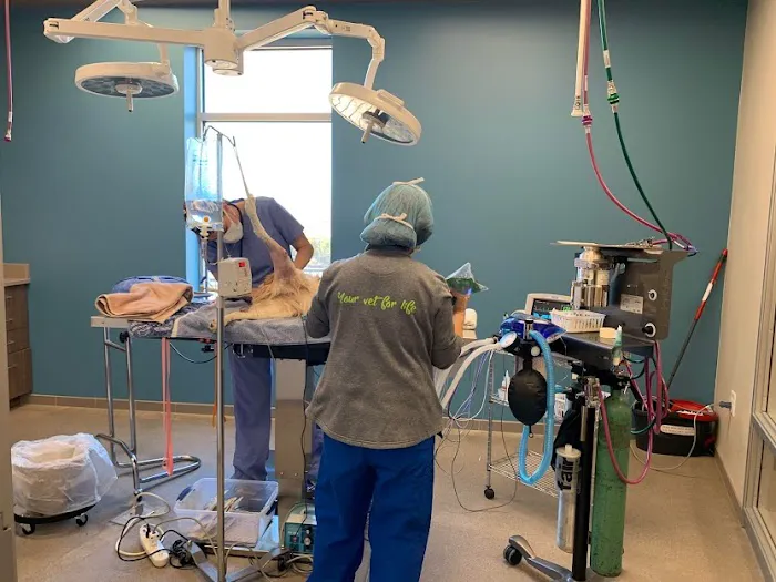 Centennial Vida Veterinary Care Picture 8