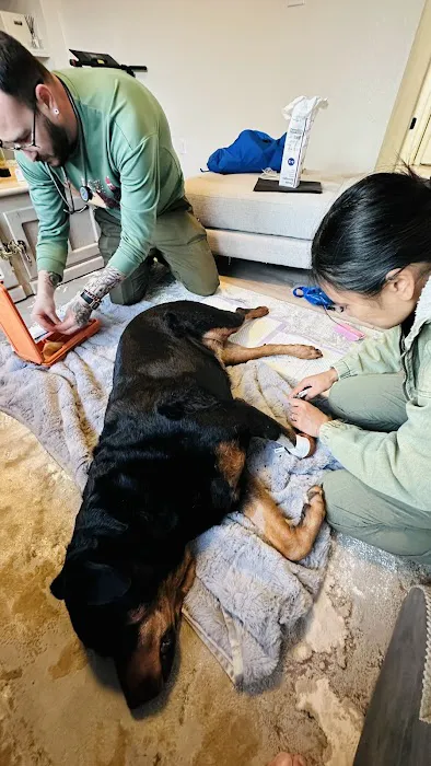 The Mobile Pawlyclinic Picture 5