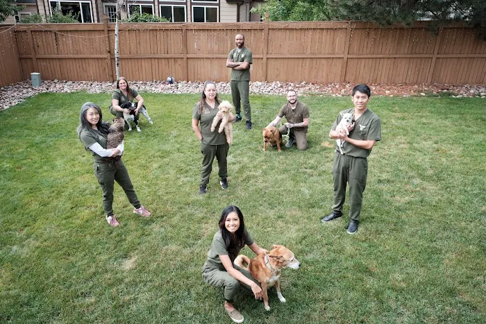 The Mobile Pawlyclinic Picture 7