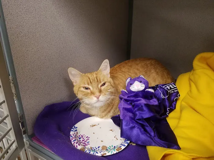 Critter Care Animal Hospital Picture 8