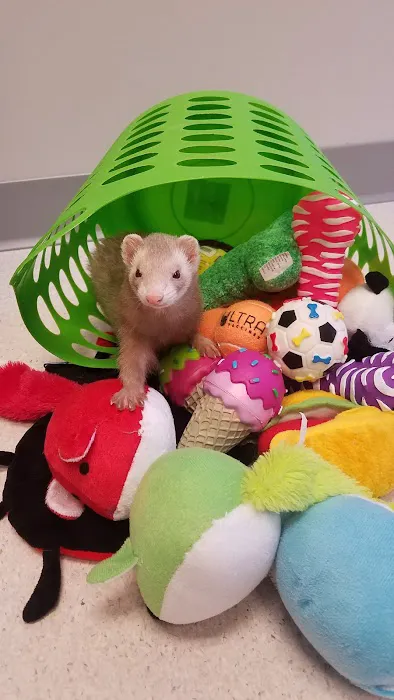 Critter Care Animal Hospital Picture 10
