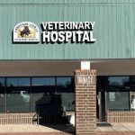 Companion Animal Veterinary Hospital