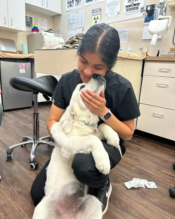 Companion Animal Veterinary Hospital Picture 8