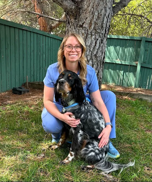 Companion Animal Veterinary Hospital Picture 6