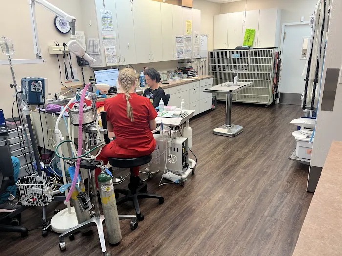 Companion Animal Veterinary Hospital Picture 4