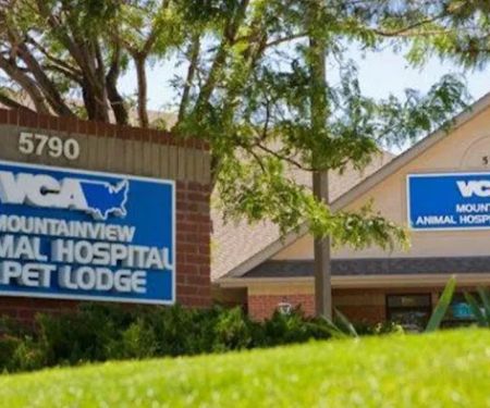 VCA Mountainview Animal Hospital & Pet Lodge
