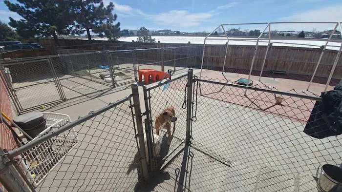 VCA Mountainview Animal Hospital & Pet Lodge Picture 7