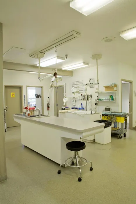 VCA Mountainview Animal Hospital & Pet Lodge Picture 4