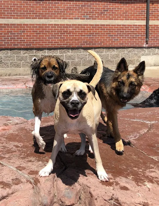 VCA Mountainview Animal Hospital & Pet Lodge Picture 6