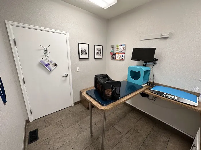 VCA Mountainview Animal Hospital & Pet Lodge Picture 8
