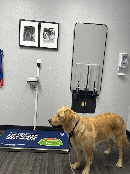VCA Mountainview Animal Hospital & Pet Lodge Picture 10