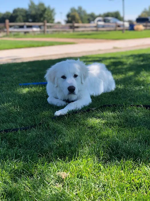 VCA Highlands Ranch Animal Specialty & Emergency Center Picture 7