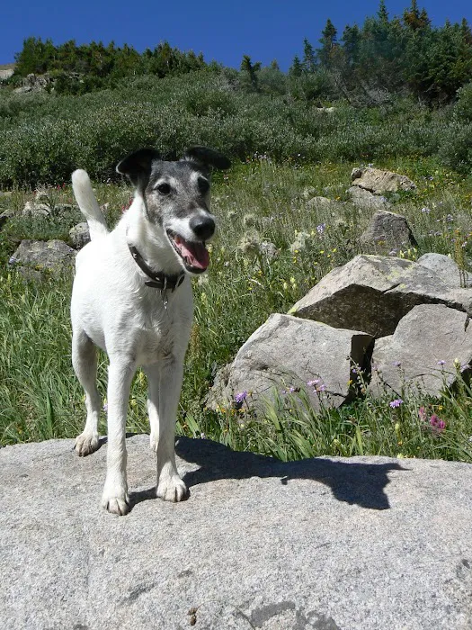 Quebec Highlands Animal Clinic Picture 2