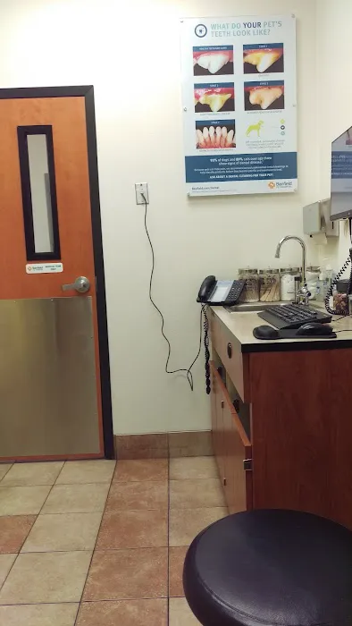 Banfield Pet Hospital Picture 9