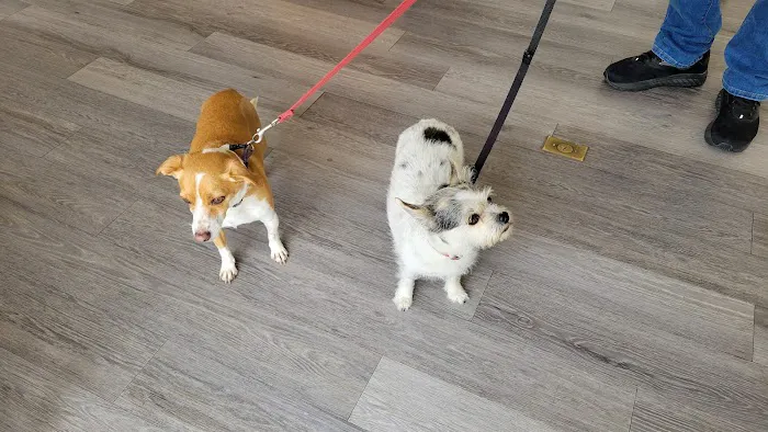 El Sobrante Veterinary Hospital Picture 3