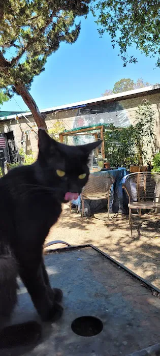 Animal Fix Clinic (formerly Fix Our Ferals) Picture 4