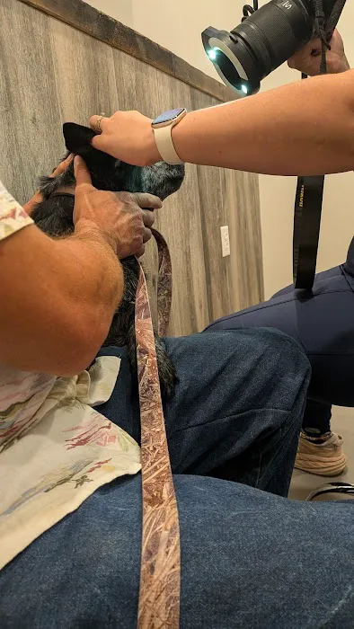 Bluegrass Veterinary Vision Picture 6
