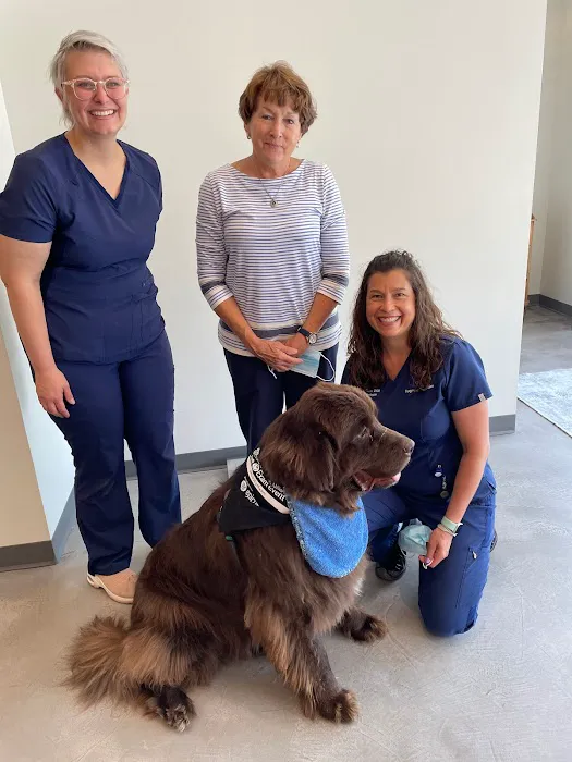 Bluegrass Veterinary Vision Picture 10