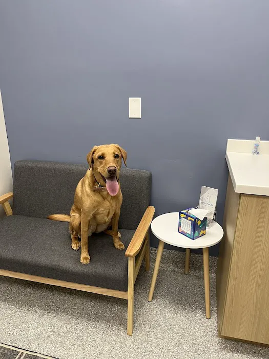 Louisville Veterinary Urgent Care Picture 6